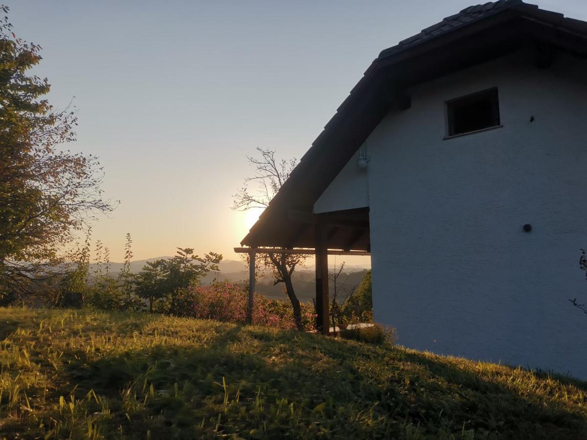 Apartma Pusa Pesnica pri Mariboru Kültér fotó