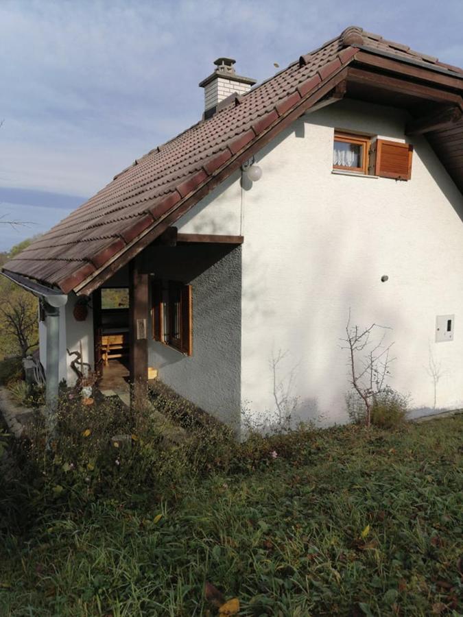 Apartma Pusa Pesnica pri Mariboru Kültér fotó