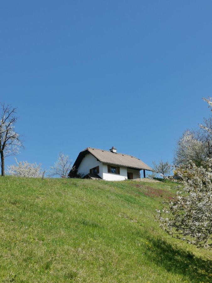 Apartma Pusa Pesnica pri Mariboru Kültér fotó